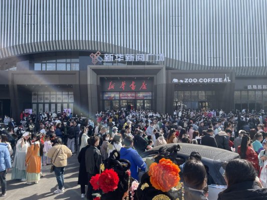 新华新阅广场采取“文化 ”方式举办潍坊市首届花朝节。
