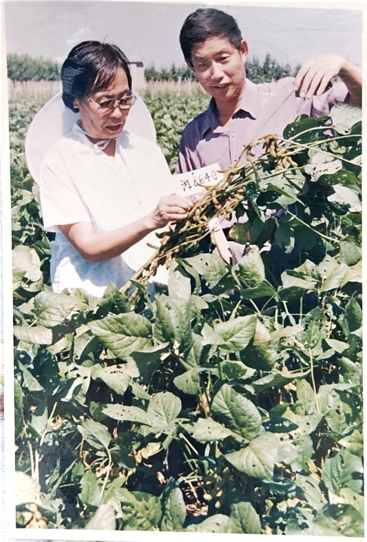 4032d4dcfd4ee4ff8665d97085dae4a9