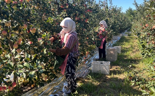 微信图片_20251216153513_309_6