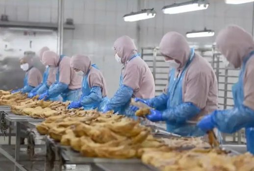 微信图片_20251017091950_167_49