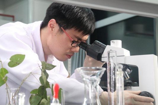 沃华医药研发场景