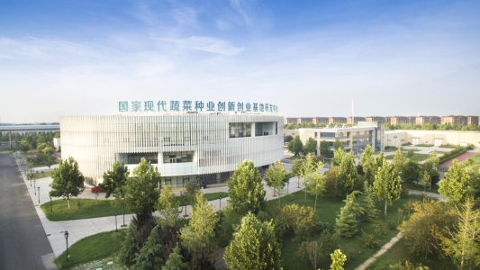 国家现代蔬菜种业创新创业基地研发中心