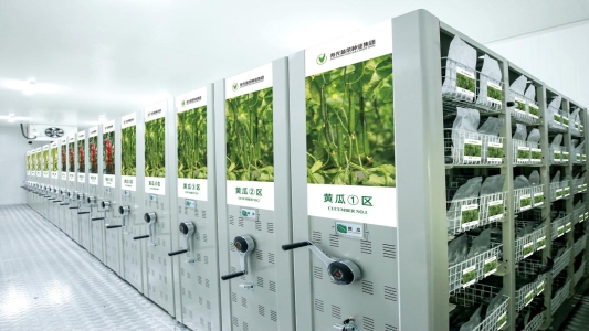 寿光蔬菜种业集团建成山东省蔬菜种质资源技术标准创新中心，拥有山东省最大的蔬菜种质资源库